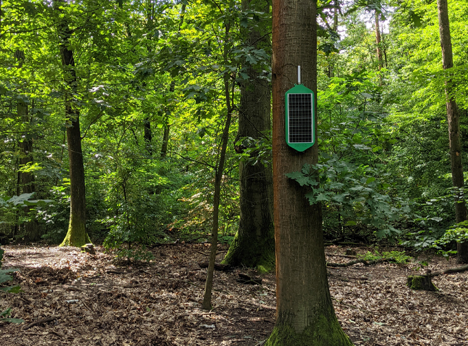 Dryad-mesh-gateway-hero-1