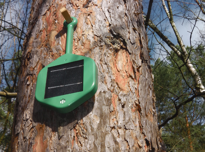 Dryad-sensor-hero-1